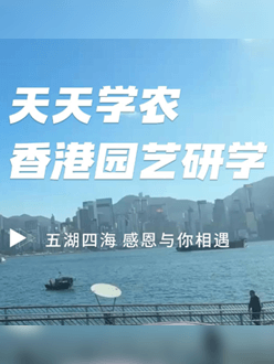 与香港园艺学会联合举办香港园艺研学，专业园境师带队讲解。