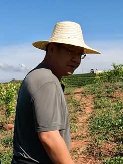 农业人叶涛，50多岁通讯人跨界搞农业，他要用1000万打造一个梦。